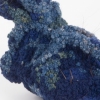 Acute Cerulean Slug