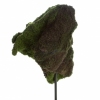 Stout Cudge  ( View 2 )