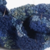 Acute Cerulean Slug