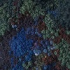 Vinculum Verdurous Muskeg