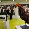 Hyde Park Art Center