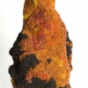 Titian Corallium ( Detail )