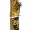 Vehement Flavescent Ilk 1 & 2