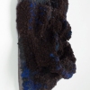 Natatorium Cerebellum Anthropophagite Side View
