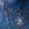 Plastic, Toxic: Brobdingnagian Caliginous Substratum Scarum
