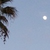 Moon over Sunset