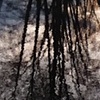 Yosemite Puddle