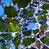Spiderwebs