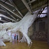 White Stag