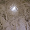 White Stag