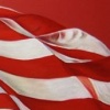 American Flag- Julie's Puppy Palace