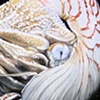 Nautilus