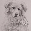 Portraits