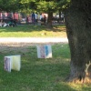 wallwork (installation view)