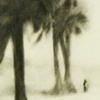 portraits, stories and landscapes