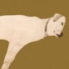 rolf