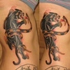 Panther vs Snake