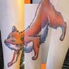 Fox