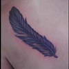 Feather