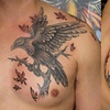 Crow