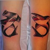 Sharks