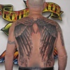 Wings