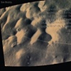 Tracks