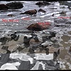 Shore Lines