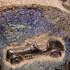 Baby Blue Go-Fast~  Close Up.