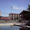 The Swimming Pool