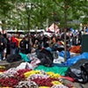 Occupy Wall Street