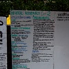 Occupy Wall Street