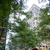 Occupy Wall Street