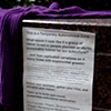 Occupy Wall Street