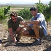 clay find at Newton Vineyard with Josh