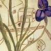 Bowl:  Blue Flower