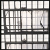 Birds In Mansfield Penitentiary, Mansfield, Ohio