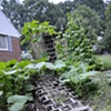 Bread Obelisk, exposed to the elements for fourteen months