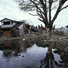 Lakeview Levee Breach, New Orleans, LA