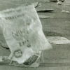 installations and ephemeral works