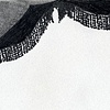 inaugural curtain