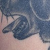 black dog