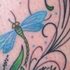 bugs!