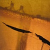 Geo-Web & Her Shadow  (Detail)