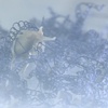 Still image from "Blow Out"