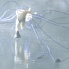 Still image from "Blow Out"
