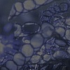 Still image from "Blow Out"