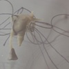 Still image from "Blow Out"