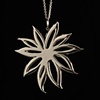 Botanicals