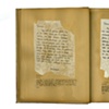 The Archaeologist's Report
